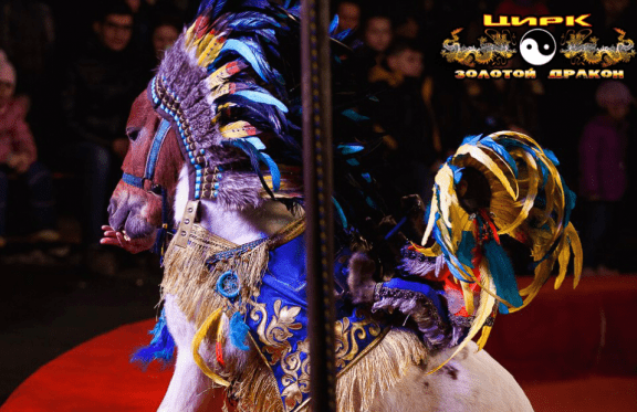 &TScy;&icy;&rcy;&kcy;-&SHcy;&acy;&pcy;&icy;&tcy;&ocy; &laquo;&Zcy;&ocy;&lcy;&ocy;&tcy;&ocy;&jcy; &Dcy;&rcy;&acy;&kcy;&ocy;&ncy;&raquo;&comma; &gcy;&period; &CHcy;&iecy;&lcy;&yacy;&bcy;&icy;&ncy;&scy;&kcy;