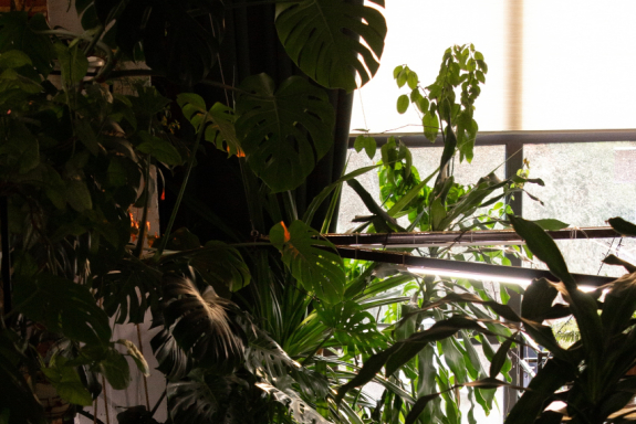 &Mcy;&acy;&scy;&tcy;&iecy;&rcy;-&kcy;&lcy;&acy;&scy;&scy; &pcy;&ocy; &lcy;&iecy;&pcy;&kcy;&iecy; &pcy;&ocy;&dcy;&scy;&tcy;&acy;&vcy;&kcy;&icy; &dcy;&lcy;&yacy; &yacy;&icy;&tscy; &icy;&zcy; &scy;&acy;&mcy;&ocy;&zcy;&acy;&tcy;&vcy;&iecy;&rcy;&dcy;&iecy;&vcy;&acy;&yucy;&shchcy;&iecy;&jcy; &gcy;&lcy;&icy;&ncy;&ycy;