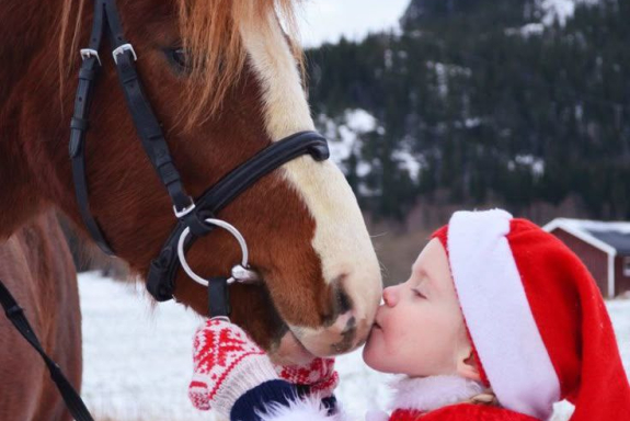 В гостях у лошадок