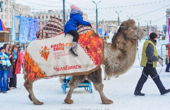 &Ncy;&ocy;&vcy;&ocy;&gcy;&ocy;&dcy;&ncy;&yacy;&yacy; &pcy;&rcy;&ocy;&gcy;&rcy;&acy;&mcy;&mcy;&acy; &vcy; &kcy;&ocy;&ncy;&ncy;&ocy;&mcy; &kcy;&lcy;&ucy;&bcy;&iecy; &laquo;&Bcy;&ucy;&yacy;&ncy;&raquo;