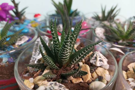 АРТ-каникулы в SandLand: создание мини-флорариума с песочной церемонией