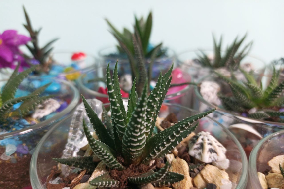 &Rcy;&ocy;&mcy;&acy;&ncy;&tcy;&icy;&chcy;&iecy;&scy;&kcy;&ocy;&iecy; &scy;&vcy;&icy;&dcy;&acy;&ncy;&icy;&iecy; &scy; &Mcy;&Kcy; &pcy;&ocy; &scy;&ocy;&zcy;&dcy;&acy;&ncy;&icy;&yucy; &fcy;&lcy;&ocy;&rcy;&acy;&rcy;&icy;&ucy;&mcy;&acy; &scy; &pcy;&iecy;&scy;&ocy;&chcy;&ncy;&ocy;&jcy; &tscy;&iecy;&rcy;&iecy;&mcy;&ocy;&ncy;&icy;&iecy;&jcy;