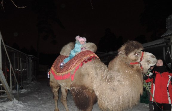 &Ncy;&ocy;&vcy;&ocy;&gcy;&ocy;&dcy;&ncy;&yacy;&yacy; &pcy;&rcy;&ocy;&gcy;&rcy;&acy;&mcy;&mcy;&acy; &vcy; &kcy;&ocy;&ncy;&ncy;&ocy;&mcy; &kcy;&lcy;&ucy;&bcy;&iecy; &laquo;&Bcy;&ucy;&yacy;&ncy;&raquo;