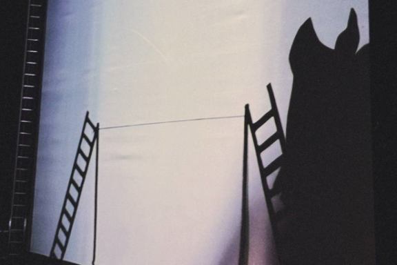 В поисках Ромео