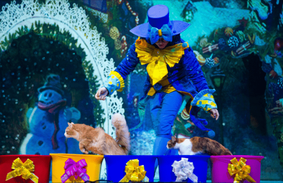 &Mcy;&ocy;&scy;&kcy;&ocy;&vcy;&scy;&kcy;&icy;&jcy; &tcy;&iecy;&acy;&tcy;&rcy; &kcy;&ocy;&shcy;&iecy;&kcy; &Vcy;&period; &Kcy;&ucy;&kcy;&lcy;&acy;&chcy;&iocy;&vcy;&acy; &laquo;&SHCHcy;&iecy;&lcy;&kcy;&ucy;&ncy;&chcy;&icy;&kcy; &icy; &Kcy;&ocy;&shcy;&kcy;&icy;&raquo;