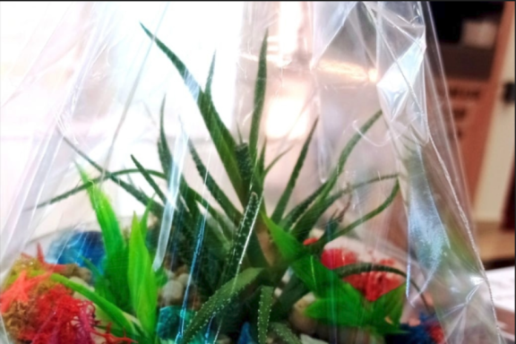 &Rcy;&ocy;&mcy;&acy;&ncy;&tcy;&icy;&chcy;&iecy;&scy;&kcy;&ocy;&iecy; &scy;&vcy;&icy;&dcy;&acy;&ncy;&icy;&iecy; &scy; &Mcy;&Kcy; &pcy;&ocy; &scy;&ocy;&zcy;&dcy;&acy;&ncy;&icy;&yucy; &fcy;&lcy;&ocy;&rcy;&acy;&rcy;&icy;&ucy;&mcy;&acy; &scy; &pcy;&iecy;&scy;&ocy;&chcy;&ncy;&ocy;&jcy; &tscy;&iecy;&rcy;&iecy;&mcy;&ocy;&ncy;&icy;&iecy;&jcy;