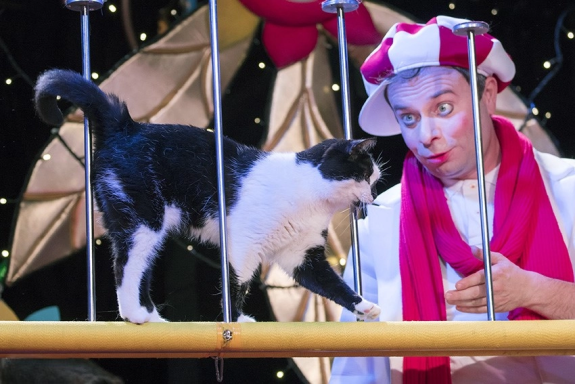 &Tcy;&iecy;&acy;&tcy;&rcy; &kcy;&ocy;&shcy;&iecy;&kcy; &Kcy;&ucy;&kcy;&lcy;&acy;&chcy;&iecy;&vcy;&acy;&period; &SHcy;&ocy;&ucy; "&Kcy;&ocy;&tcy;&ocy;&bcy;&ucy;&mcy;"&period; &Dcy;&mcy;&icy;&tcy;&rcy;&icy;&jcy; &Kcy;&ucy;&kcy;&lcy;&acy;&chcy;&iecy;&vcy;