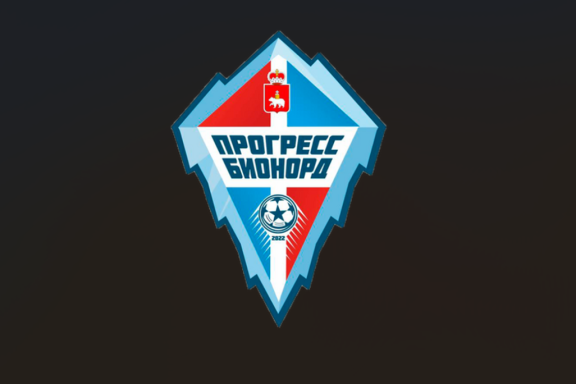 МФК "Южный Урал" г. Челябинск - МФК "Прогресс – Бионорд" г. Пермь