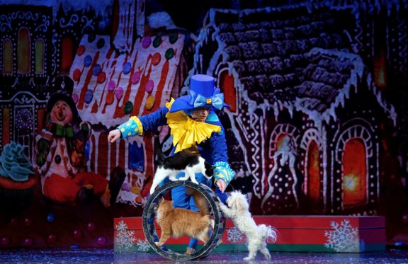 &Mcy;&ocy;&scy;&kcy;&ocy;&vcy;&scy;&kcy;&icy;&jcy; &tcy;&iecy;&acy;&tcy;&rcy; &kcy;&ocy;&shcy;&iecy;&kcy; &Vcy;&period; &Kcy;&ucy;&kcy;&lcy;&acy;&chcy;&iocy;&vcy;&acy; &laquo;&SHCHcy;&iecy;&lcy;&kcy;&ucy;&ncy;&chcy;&icy;&kcy; &icy; &Kcy;&ocy;&shcy;&kcy;&icy;&raquo;