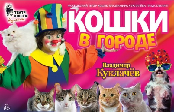 Театр кошек Владимира Куклачева "Кошки в городе"