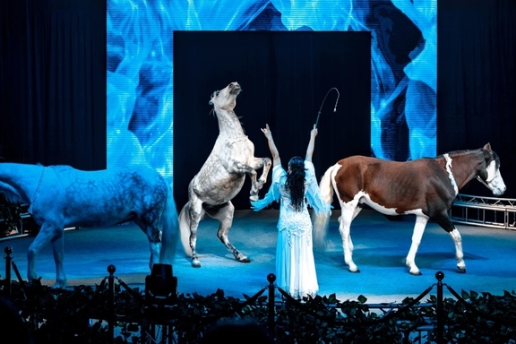 &Dcy;&icy;&kcy;&icy;&jcy; &Kcy;&acy;&rcy;&ncy;&acy;&vcy;&acy;&lcy; &TScy;&icy;&rcy;&kcy; &Ocy;&rcy;&icy;&ocy;&ncy; &CHcy;&iecy;&lcy;&yacy;&bcy;&icy;&ncy;&scy;&kcy; 2026