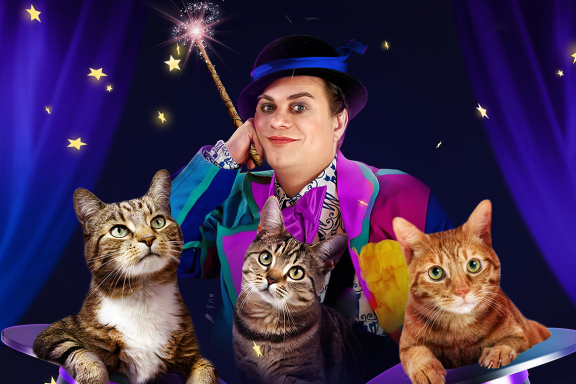 Волшебные кошки Куклачёва
