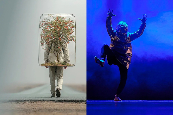 Яблоня на Марсе +  Иррациональный