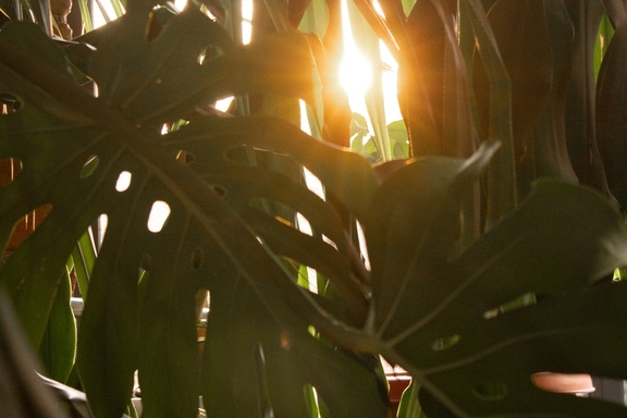 &Icy;&gcy;&rcy;&acy;&iecy;&mcy; &vcy; "&Icy;&mcy;&acy;&dcy;&zhcy;&icy;&ncy;&acy;&rcy;&icy;&ucy;&mcy;" &icy; &pcy;&softcy;&iecy;&mcy; &chcy;&acy;&jcy; 