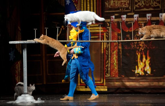 &Mcy;&ocy;&scy;&kcy;&ocy;&vcy;&scy;&kcy;&icy;&jcy; &tcy;&iecy;&acy;&tcy;&rcy; &kcy;&ocy;&shcy;&iecy;&kcy; &Vcy;&period; &Kcy;&ucy;&kcy;&lcy;&acy;&chcy;&iocy;&vcy;&acy; &laquo;&SHCHcy;&iecy;&lcy;&kcy;&ucy;&ncy;&chcy;&icy;&kcy; &icy; &Kcy;&ocy;&shcy;&kcy;&icy;&raquo;