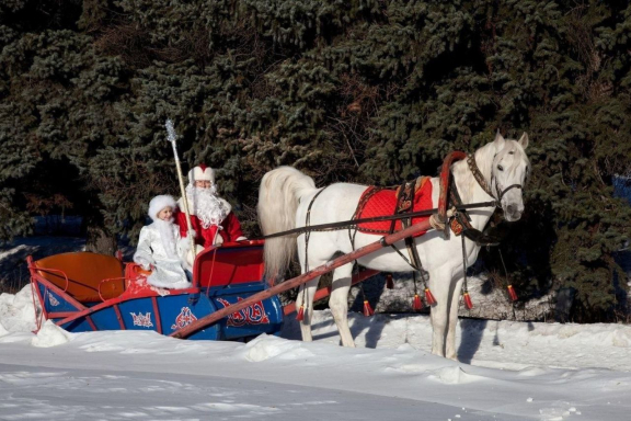 В гостях у лошадок