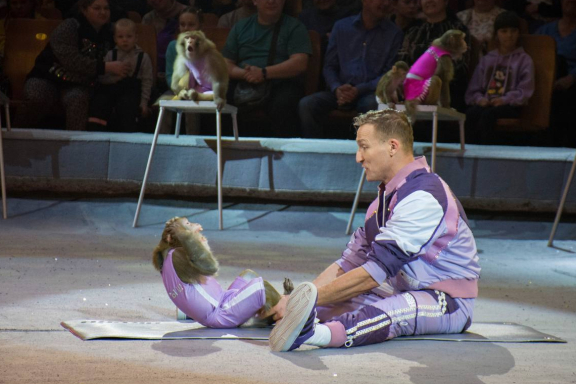 &TScy;&icy;&rcy;&kcy; &Vcy;&icy;&vcy;&acy;&tcy; &CHcy;&iecy;&lcy;&yacy;&bcy;&icy;&ncy;&scy;&kcy; - &shcy;&ocy;&ucy; "&Kcy;&ocy;&rcy;&ocy;&lcy;&iecy;&vcy;&scy;&tcy;&vcy;&ocy; &lcy;&softcy;&vcy;&ocy;&vcy;"