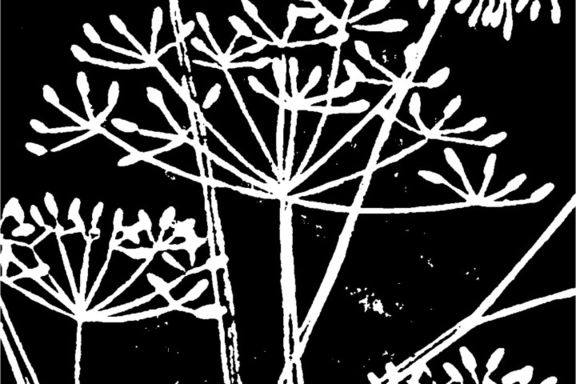 &Mcy;&acy;&scy;&tcy;&iecy;&rcy;-&kcy;&lcy;&acy;&scy;&scy; "&CHcy;&iecy;&lcy;&yacy;&bcy;&icy;&ncy;&scy;&kcy;&icy;&jcy; &ucy;&zcy;&ocy;&rcy;"