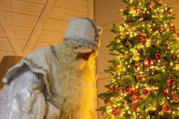 Ёжкин Новый год