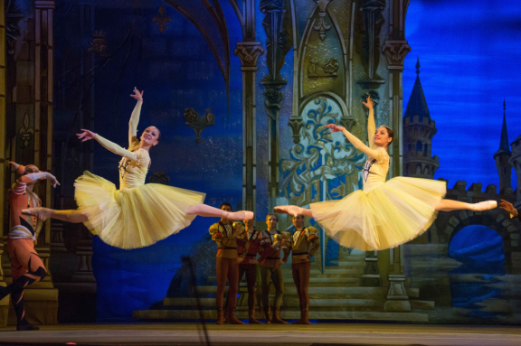 Лебединое озеро.