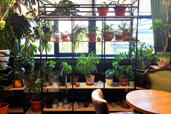 &Icy;&gcy;&rcy;&acy;&iecy;&mcy; &vcy; "&Icy;&mcy;&acy;&dcy;&zhcy;&icy;&ncy;&acy;&rcy;&icy;&ucy;&mcy;" &icy; &pcy;&softcy;&iecy;&mcy; &chcy;&acy;&jcy; 