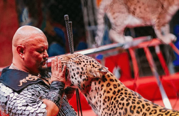 &TScy;&icy;&rcy;&kcy;-&SHcy;&acy;&pcy;&icy;&tcy;&ocy; &laquo;&Zcy;&ocy;&lcy;&ocy;&tcy;&ocy;&jcy; &Dcy;&rcy;&acy;&kcy;&ocy;&ncy;&raquo;&comma; &gcy;&period; &CHcy;&iecy;&lcy;&yacy;&bcy;&icy;&ncy;&scy;&kcy;