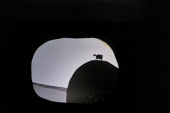 &IOcy;&ZHcy;&Icy;&Kcy;-&IOcy;&ZHcy;&Icy;&Kcy;