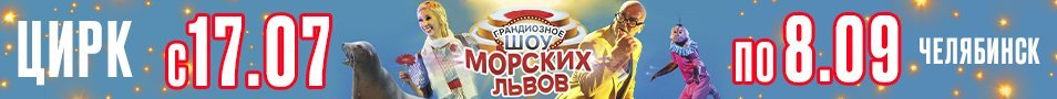 Цирк Виват Челябинск — шоу «Морских львов»