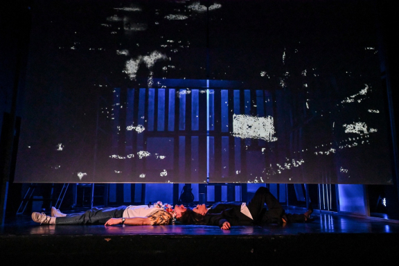 Эти свободные бабочки