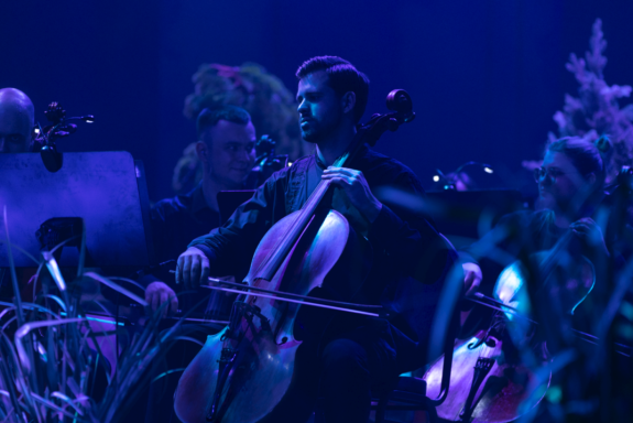 &Ocy;&rcy;&kcy;&iecy;&scy;&tcy;&rcy; CAGMO &mdash; &Scy;&icy;&mcy;&fcy;&ocy;&ncy;&icy;&yacy; &Kcy;&ocy;&rcy;&ocy;&lcy;&softcy; &icy; &SHcy;&ucy;&tcy; &mdash; &Dcy;&vcy;&ocy;&jcy;&ncy;&ocy;&jcy; &kcy;&ocy;&ncy;&tscy;&iecy;&rcy;&tcy;