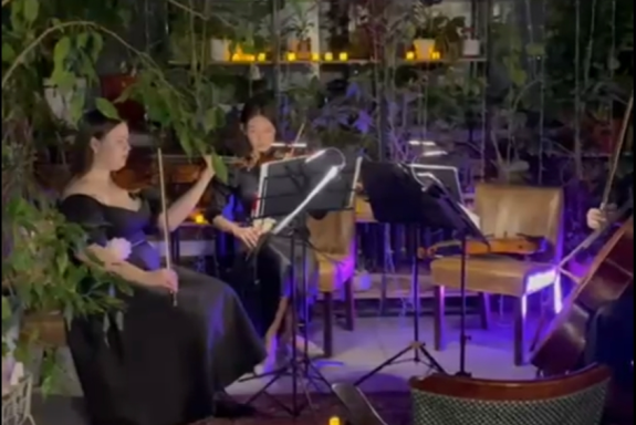 Концерт живой музыки "Новогоднее кинопутешествие"