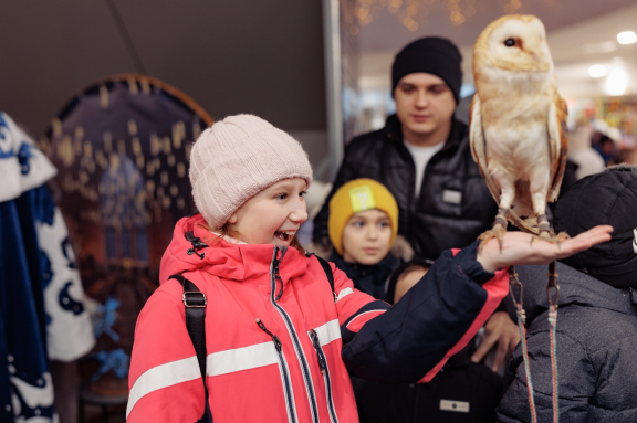 Магический экспресс