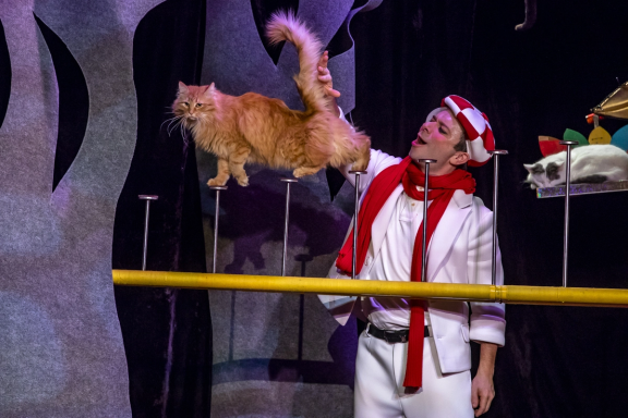 &Tcy;&iecy;&acy;&tcy;&rcy; &kcy;&ocy;&shcy;&iecy;&kcy; &Kcy;&ucy;&kcy;&lcy;&acy;&chcy;&iecy;&vcy;&acy;&period; &SHcy;&ocy;&ucy; "&Kcy;&ocy;&tcy;&ocy;&bcy;&ucy;&mcy;"&period; &Dcy;&mcy;&icy;&tcy;&rcy;&icy;&jcy; &Kcy;&ucy;&kcy;&lcy;&acy;&chcy;&iecy;&vcy;