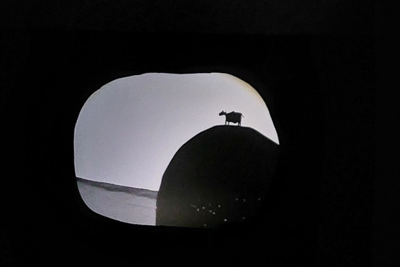 &IOcy;&ZHcy;&Icy;&Kcy;-&IOcy;&ZHcy;&Icy;&Kcy;