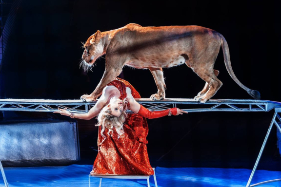 &TScy;&icy;&rcy;&kcy; &Vcy;&icy;&vcy;&acy;&tcy; &CHcy;&iecy;&lcy;&yacy;&bcy;&icy;&ncy;&scy;&kcy; - &shcy;&ocy;&ucy; "&Kcy;&ocy;&rcy;&ocy;&lcy;&iecy;&vcy;&scy;&tcy;&vcy;&ocy; &lcy;&softcy;&vcy;&ocy;&vcy;"