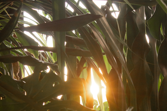 &mcy;&acy;&scy;&tcy;&iecy;&rcy;-&kcy;&lcy;&acy;&scy;&scy; "&Pcy;&iecy;&scy;&ocy;&chcy;&ncy;&acy;&yacy; &mcy;&acy;&ncy;&dcy;&acy;&lcy;&acy;" &scy; &ecy;&lcy;&iecy;&mcy;&iecy;&ncy;&tcy;&acy;&mcy;&icy; &acy;&rcy;&tcy;-&pcy;&rcy;&acy;&kcy;&tcy;&icy;&kcy;&icy;