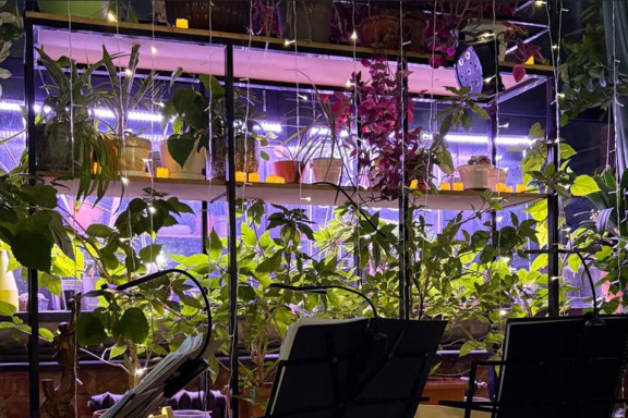 &Kcy;&ocy;&ncy;&tscy;&iecy;&rcy;&tcy; &zhcy;&icy;&vcy;&ocy;&jcy; &mcy;&ucy;&zcy;&ycy;&kcy;&icy; "&Zcy;&icy;&mcy;&ncy;&icy;&iecy; &gcy;&rcy;&iecy;&zcy;&ycy;"