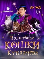 &Vcy;&ocy;&lcy;&shcy;&iecy;&bcy;&ncy;&ycy;&iecy; &kcy;&ocy;&shcy;&kcy;&icy; &Kcy;&ucy;&kcy;&lcy;&acy;&chcy;&iocy;&vcy;&acy;
